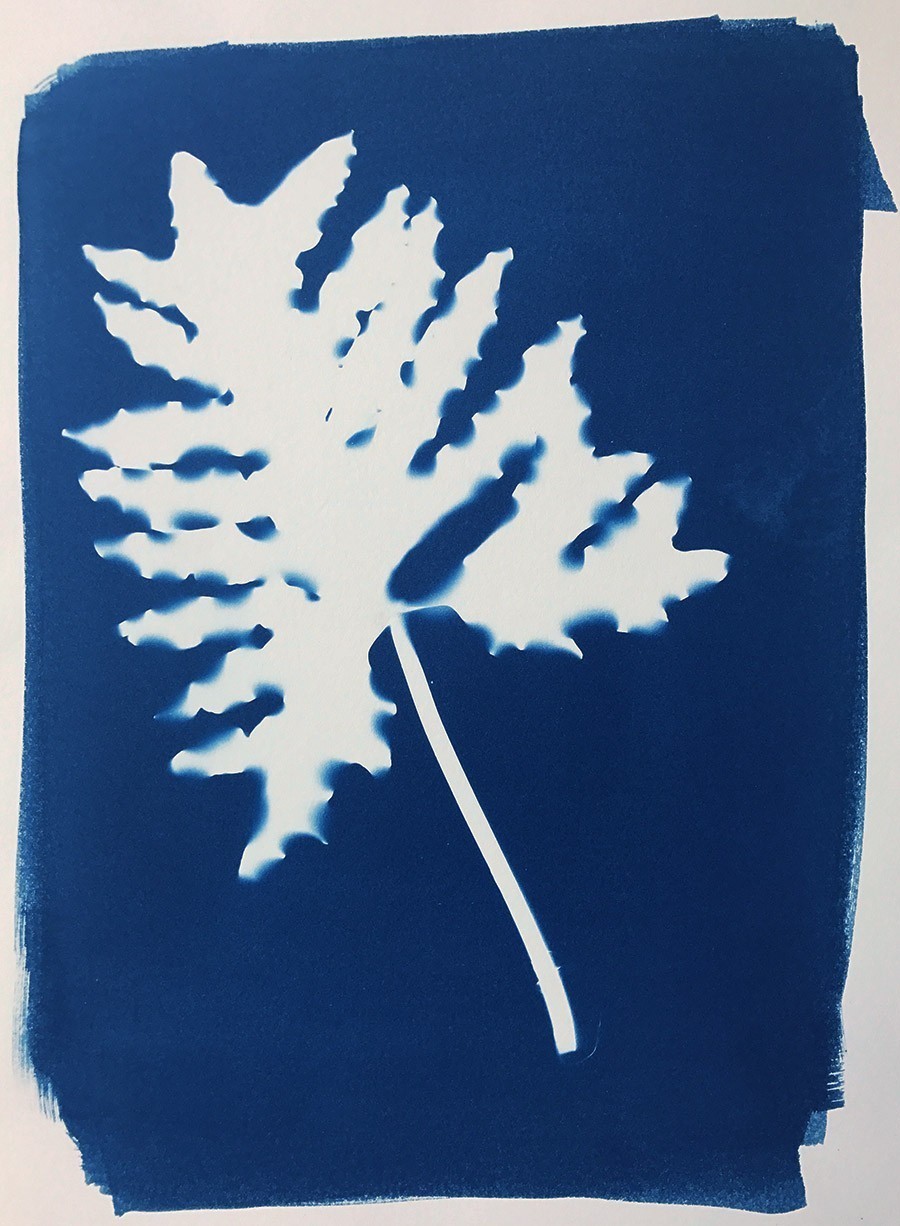 Cyanotype III.XXIII #1 9x12”, Handmade Cyanotype Print