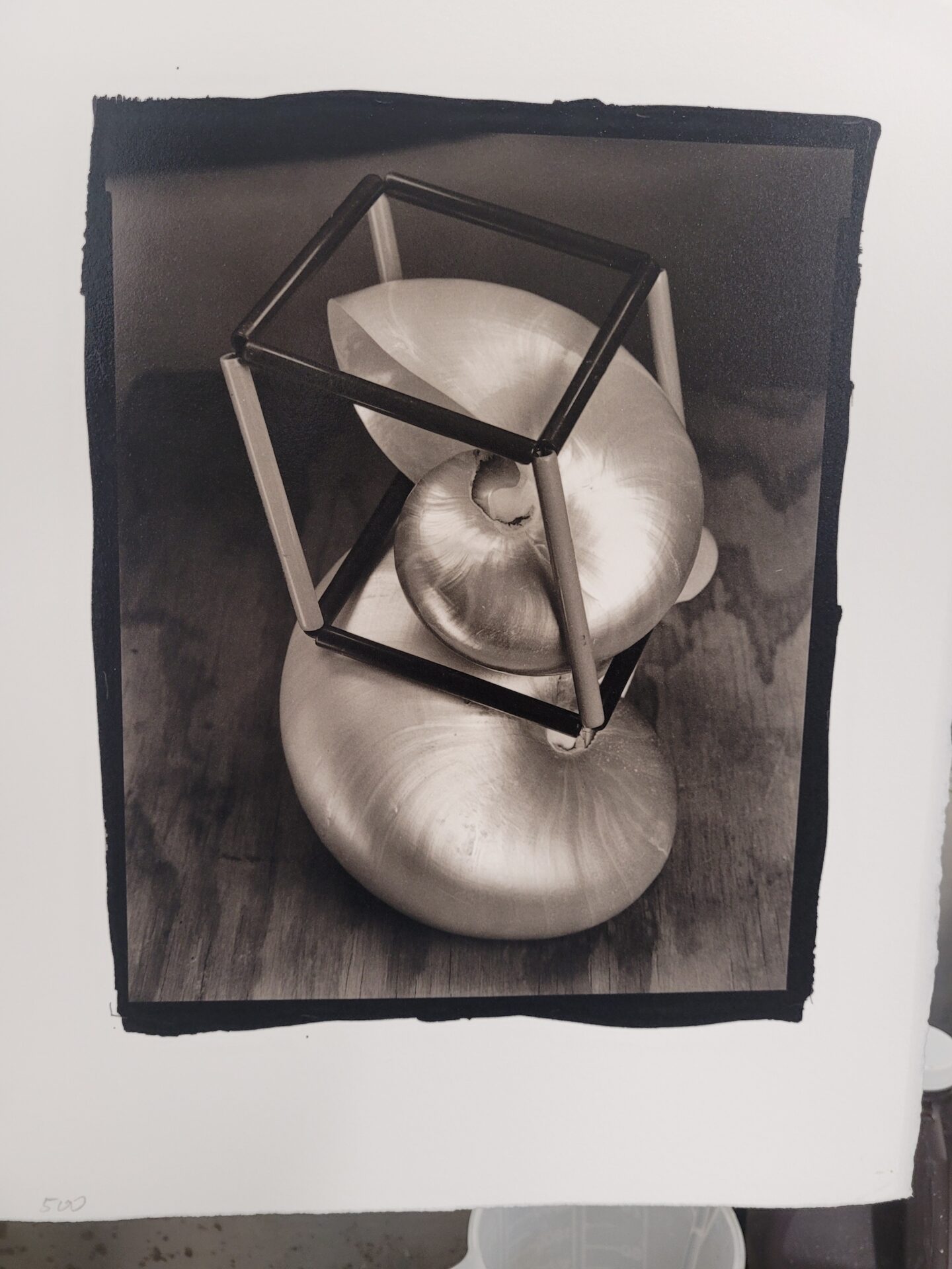 8"×10" Platinum/Palladium With Digital Negatives – February 19 - 21, 2026 - Image 5