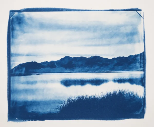 Modern Cyanotype Solution (Ware's Formula)